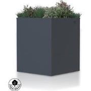 4gardenz® Plantenbak Metaal voor Buiten met Verhoogde Bodem - 50x50x60...