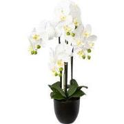 Kopu® Kunstbloem Orchidee 69 cm Wit met zwarte Pot - Phalenopsis