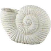PTMD Deco Object Shelly - 27x11x20 cm - Cement - Wit