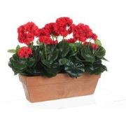 Mica Decorations geranium rood in balkonbak terra maat in cm: 39x13x40