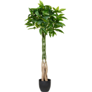 PACHIRA TREE - Kunstplant - Groen - 120 cm - Kunststof
