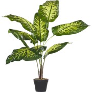 DIEFFENBACHIA - Kunstplant - Groen - Synthetisch materiaal