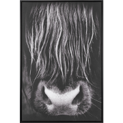 GALEATA - Canvas - Zwart - Polyester