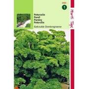 2 stuks - Peterselie Gekrulde Donkergroene