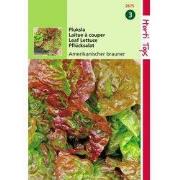 2 stuks - Pluksla Amerikaanse Roodrand