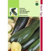 2 stuks - Courgette Black Beauty Verte De Milan