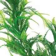 Sf art plant 40 cm microsorum