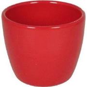 Pot boule d7.5h6 bessenrood