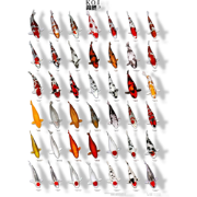 Koiposter nr.3 gelamineerd 68x90 cm Aquadistri