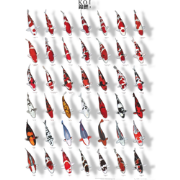 Koiposter nr.1 a4 gelamineerd Aquadistri