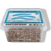 Meelwormen bakje 50g Reptofood