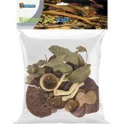 Biotope set asia Superfish