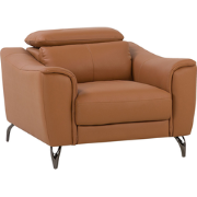 NARWIK - Fauteuil - Goudbruin - Leer