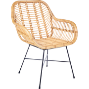 CANORA - Eetkamerstoel - Natuurlijk - Rotan