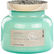 DELIGHT BLISS - Geurkaars - Blauwgroen - Soja wax