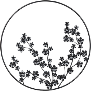 STRONTIUM - Wanddecoratie - Zwart - Metaal