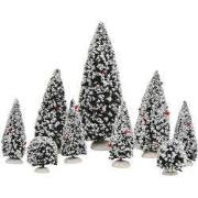 Evergreen bomen 50x30x45 cm