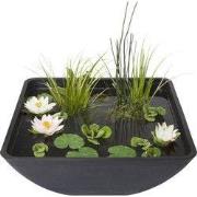 Mini Pond Square 75 x 75 cm