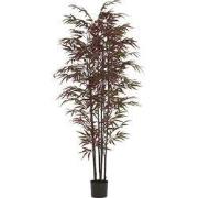 Light & Living - Kunstplant BAMBOO - 70x60x180cm - Groen