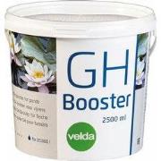 Gh booster 2,5l