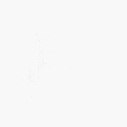 DEMRE  - Shaggy vloerkleed - Wit - 140 x 200 cm - Polyester