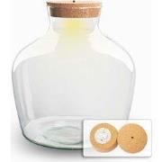 URBANJNGL - Terrarium fles ‘Fat Joe’ - Incl. LED-kurk - Gesloten terra...