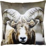 Clayre & Eef Kussenhoes 45x45 cm Bruin Polyester