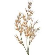 Clayre & Eef Kunstbloem 72 cm Bruin Kunststof