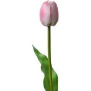 Clayre & Eef Kunstbloem Tulp 32 cm Roze Kunststof