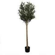 Clayre & Eef Kunst Olijfboom 165 cm Groen Kunststof