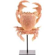 Light & Living - Ornament CRAB - 23x12.5x42.5cm - Oranje
