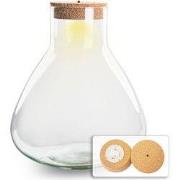 URBANJNGL - Terrarium fles ‘Sam XL’ - Incl. LED-kurk - Gesloten terrar...