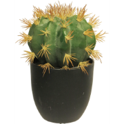 SO Golden Barrel cactus w/pot green 23 cm kunstbloem