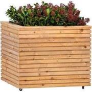 Bloembak RCW Krefeld 60x80x60 cm / op wieltjes Tuindeco