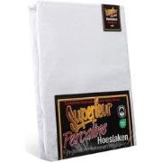 Superieur Hoeslaken - 160x200 cm - Wit - 100% katoen