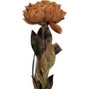 Clayre & Eef Kunstbloem 10x10x65 cm Bruin Kunststof