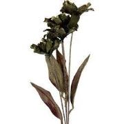 Clayre & Eef Kunstbloem 8x5x60 cm Groen Kunststof