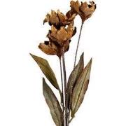 Clayre & Eef Kunstbloem 8x5x60 cm Beige Kunststof