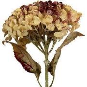 Clayre & Eef Kunstbloem 15x15x47 cm Roze Kunststof