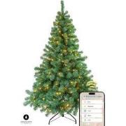 Kerstboom Excellent Trees® LED Stavanger 240 cm met 650 LED Lampjes  -...