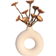 Droogbloemen - Set van 10 - Boeket 'Protea Compacta' - Droogbloemen