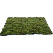 Kunst mos mat groen-bruin Medium 70X50 cm kerst