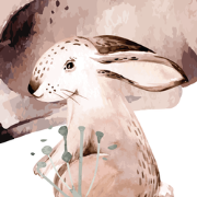 Dieren in het bos - Kinderbehang - 389,6 cm x 280 cm - Walloha