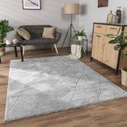 Laagpolig Modern Vloerkleed Utrilia - Grijs - 80x150 cm