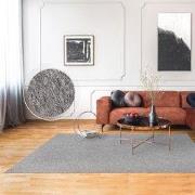 Laagpolig Vloerkleed Barnova Gemeleerd - Grijs - 160x220 cm
