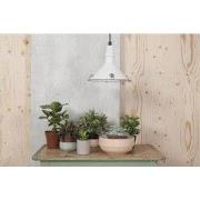 Present Time saladeschaal - Set 3 stuks – Plantenbak voor plantjes – S...