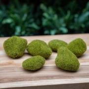 URBANJNGL - Moss Stone Green – 6 stuks