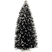 Evergreen tree jumbo