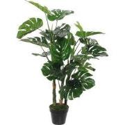 Monstera in pot green - h100xd75cm