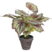 Mica Decorations Begonia Kunstplant in Bloempot Stan - H40 x Ø38 cm - ...